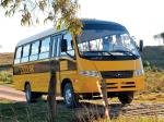 Volare V8L Escolarbus 2009 года